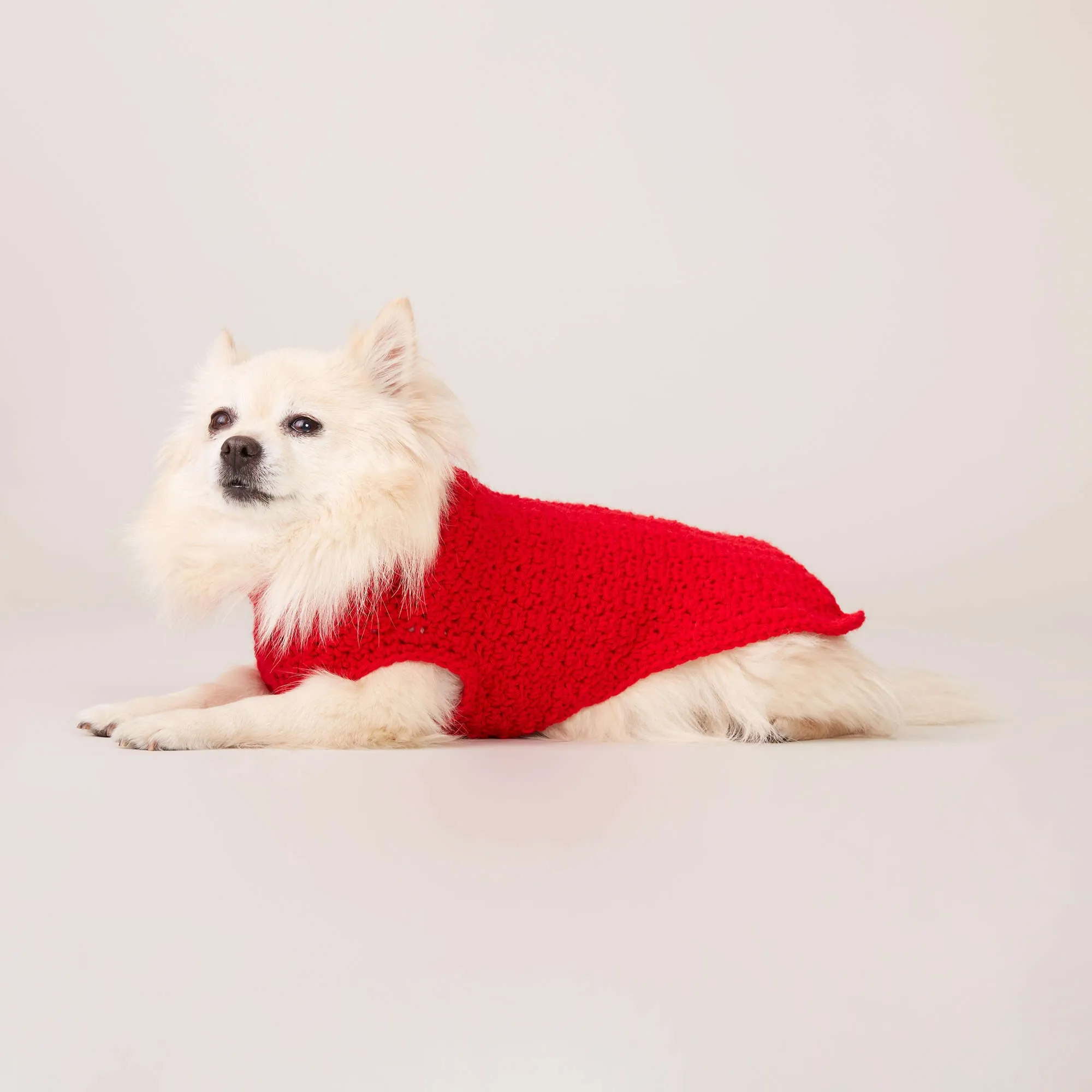 Caron Crochet Dog Coat