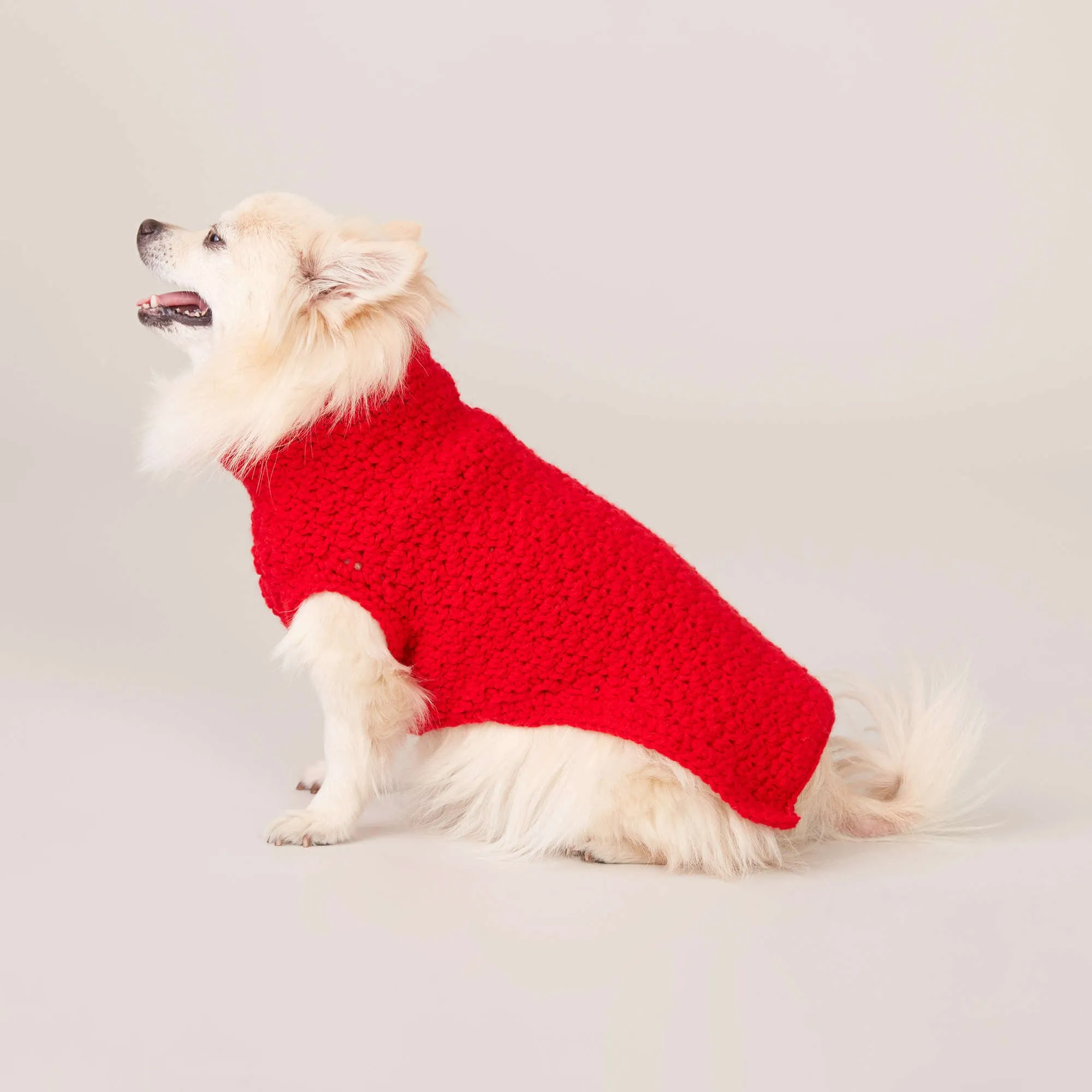 Caron Crochet Dog Coat