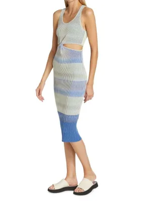 colleen Jonathan Simkhai Cobalt space dye midi dress