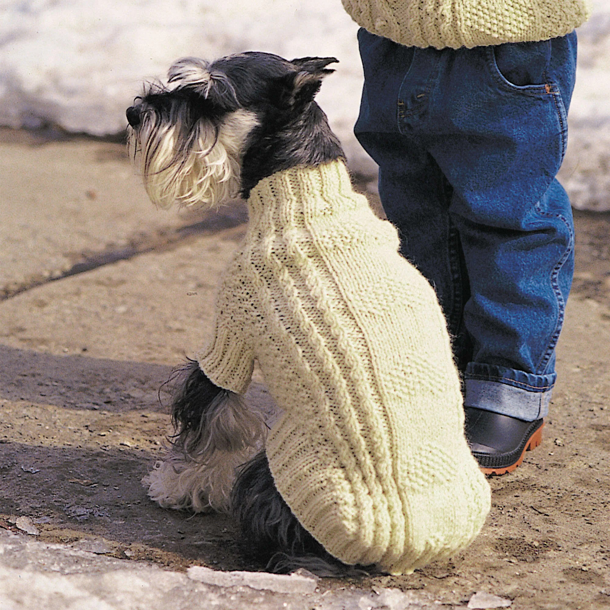 Patons Knit Cables And Hearts Dog Coat