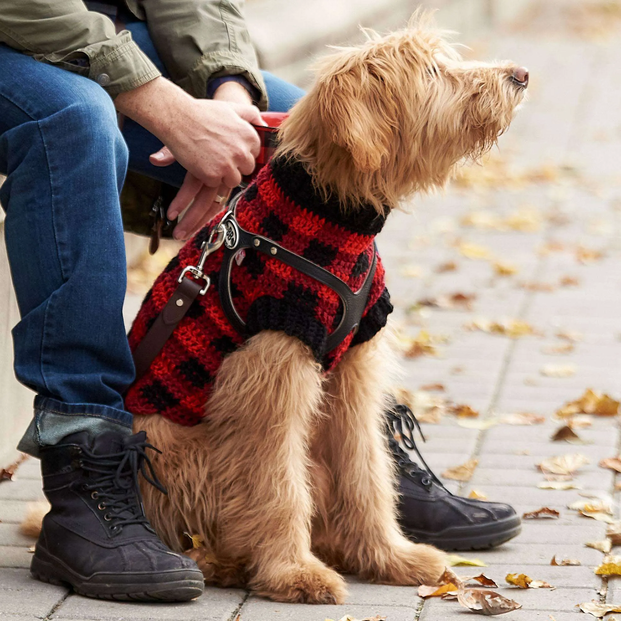 Red Heart Crochet Buffalo Plaid Dog Coat